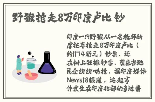 欧洲精品不卡1卡2卡三卡四卡